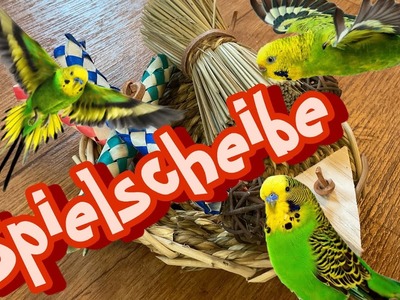 Spielscheibe Diy für Wellensittiche.Papageien????