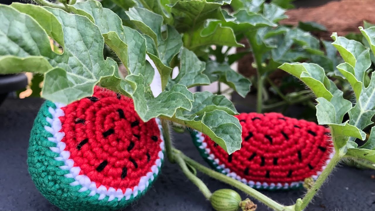 Gehäkelte Früchte: Melone