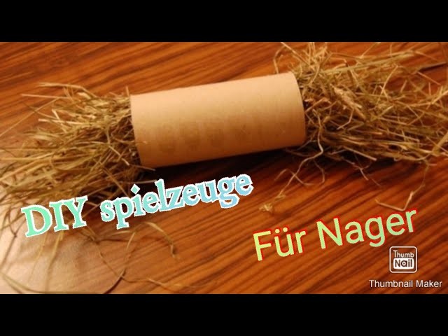 Vier einfache DIY Spielzeuge für Kaninchen und Nager ????