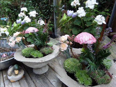 DIY: Nostalgie Shabby Chic BETON Sockelschale mit Sukkulenten. & viel MEHR lass dich überraschen :))