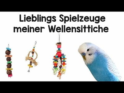Lieblings Spielzeuge meiner Wellensittiche