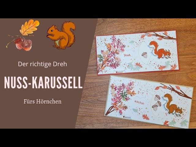 Eichhörnchen mit Dreh: das Nuss-Karussell