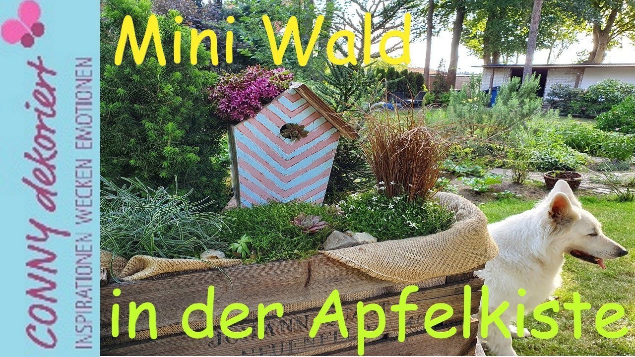 Mini Wald mit Vogelhaus in der Appelkiste | Sommer Deko für Balkon, Terrasse,  und Eingangsbereich