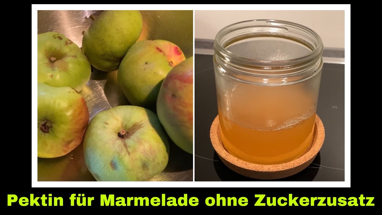 Apfelpektin aus Apfelschalen - zuckerfreies Geliermittel selber machen | unreife Äpfel verwerten