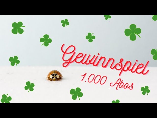 Gewinnspiel: 1.000 Abonnenten, juchuh