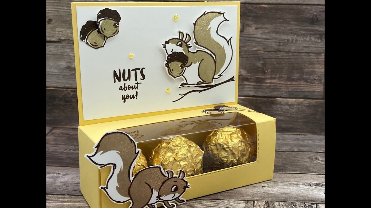 Kleine Verpackung mit Fenster basteln mit dem Stempelset Nuts about Squirrels von Stampin`Up!