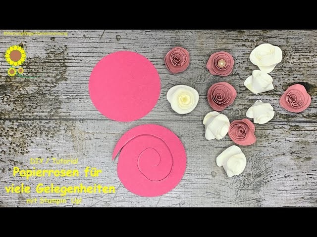 Papierrosen für viele Gelegenheiten