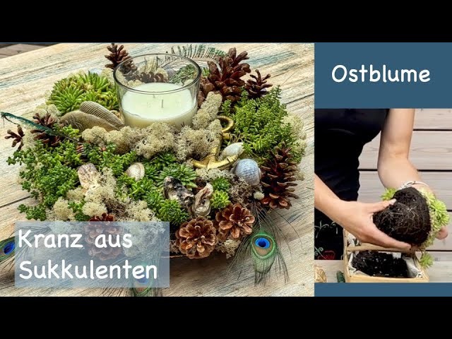 Kranz aus Sukkulenten - Tischdeko Sommer