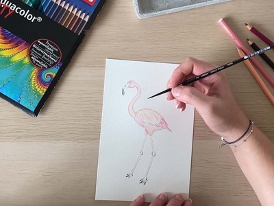 Aquarell-Zeichnung - Flamingo