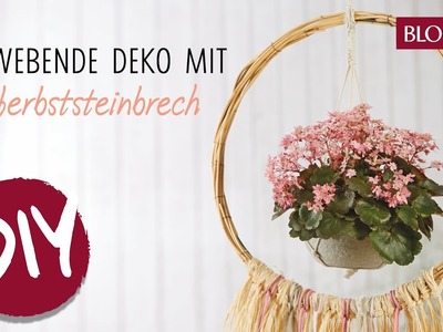 Schwebende Balkondeko mit Herbst Steinbrech | Makramee DIY Ampel mit Bast | BLOOM's Floristik