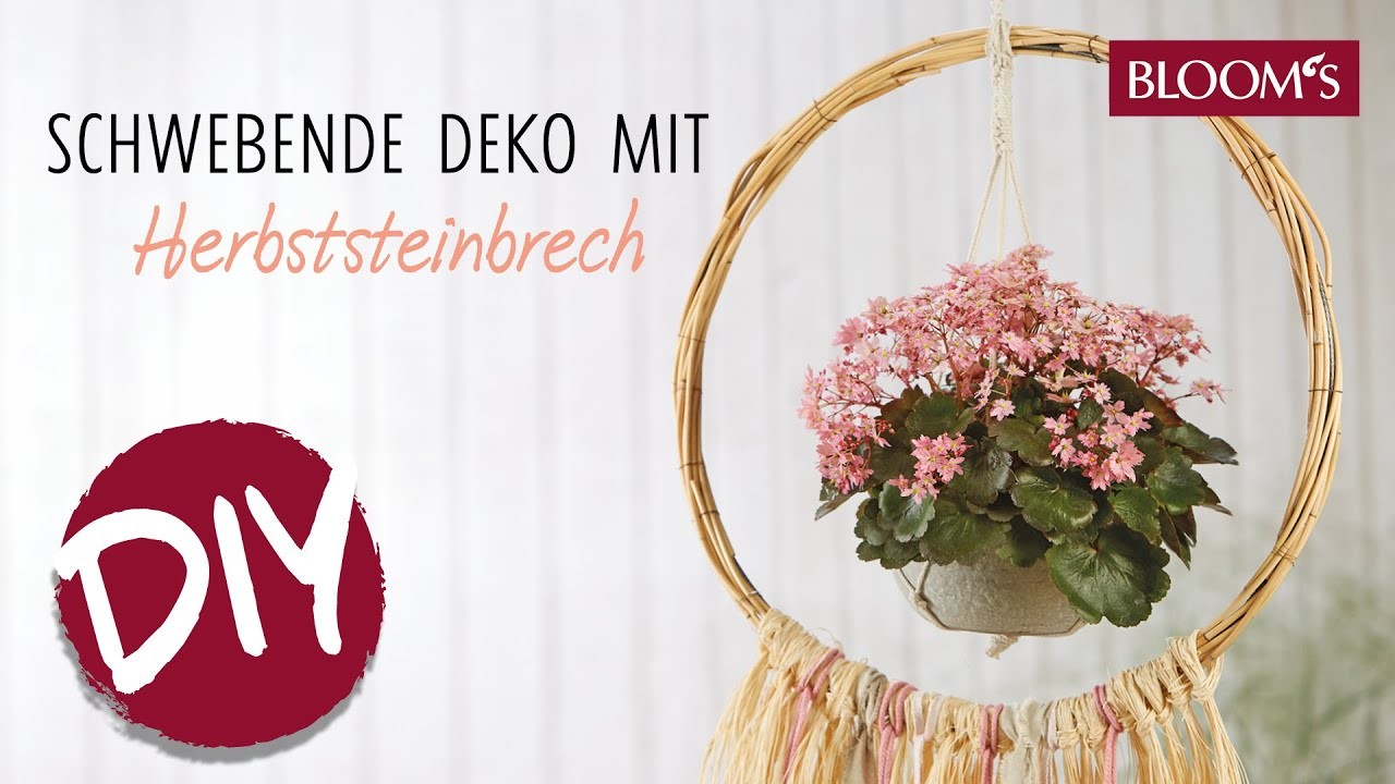 Schwebende Balkondeko mit Herbst Steinbrech | Makramee DIY Ampel mit Bast | BLOOM's Floristik