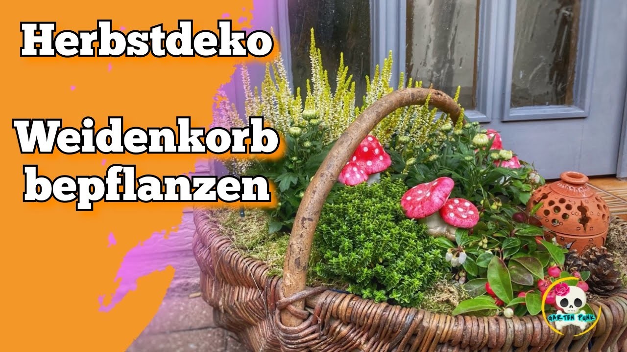 Herbstdeko | Korb herbstlich bepflanzen | Herbst. Winterbepflanzung im Weidenkorb