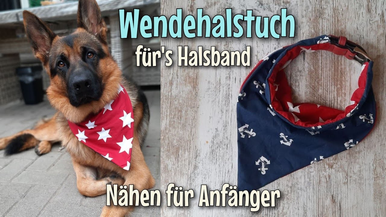 Hunde Halstuch - Für´s Halsband - Nähanleitung OHNE Schnittmuster - Nähtinchen