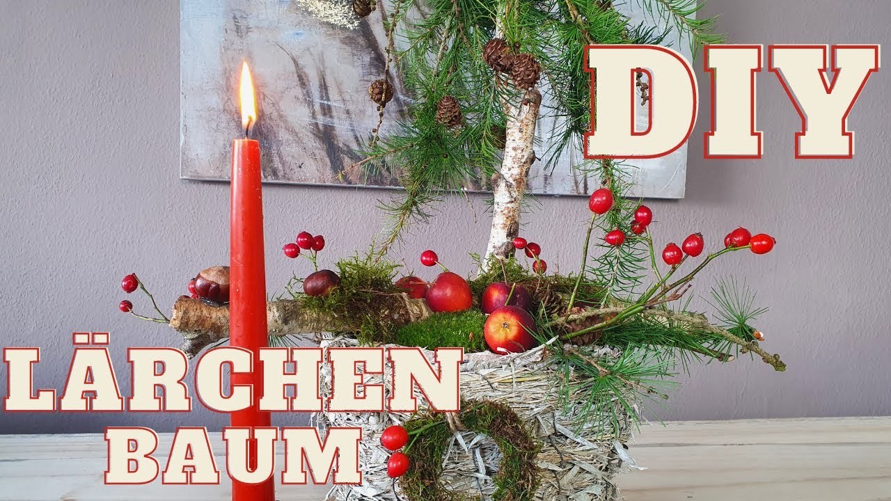Weihnachtsdeko für drinnen und draußen | DIY Lärchen Baum | Deko Duett mit Moos, Zweigen & Kerzen