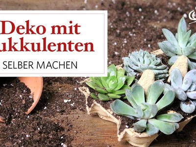 Deko mit Sukkulenten und Eierkarton