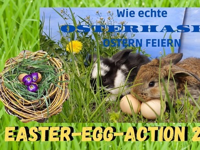 Ostergeschenke für Kaninchen