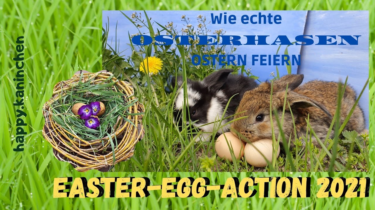 Ostergeschenke für Kaninchen