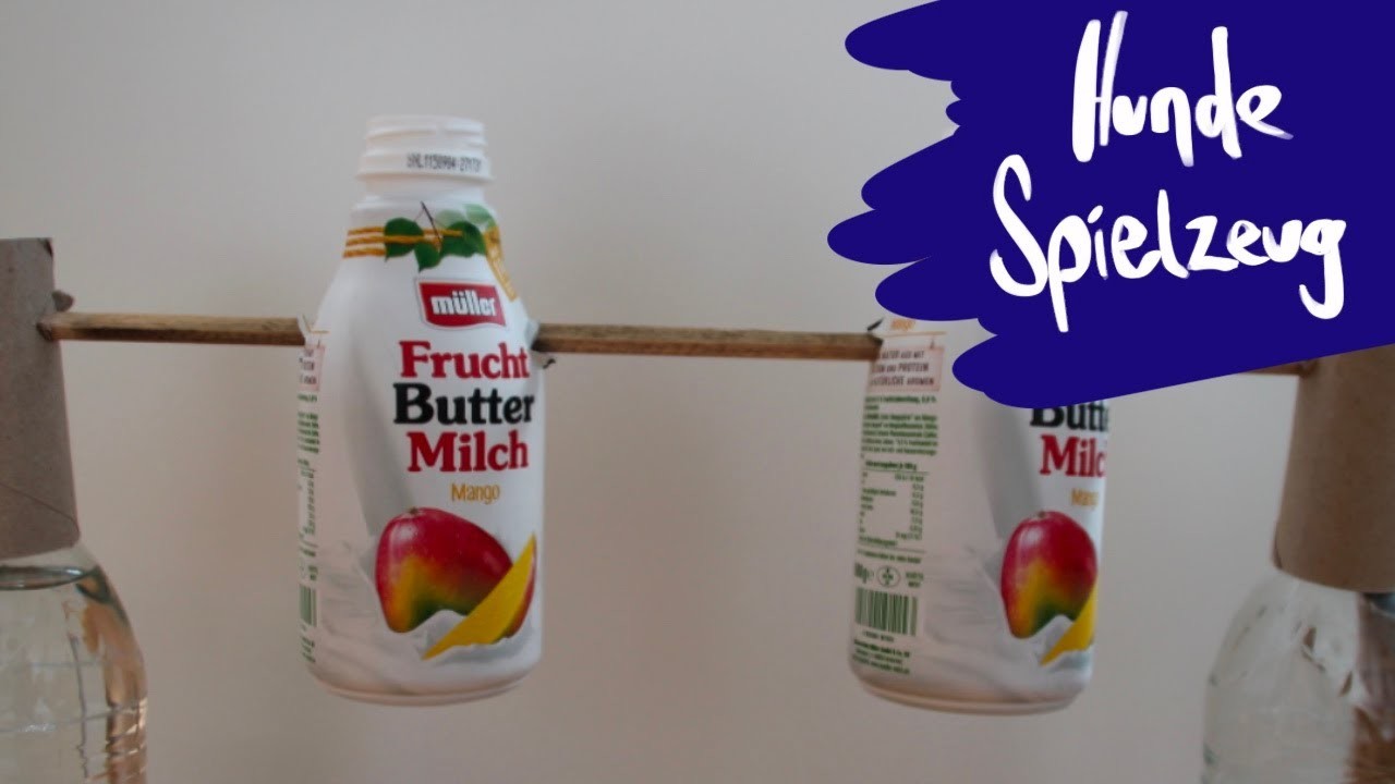 DIY Hundepielzeug in unter 10 Minuten selberbauen