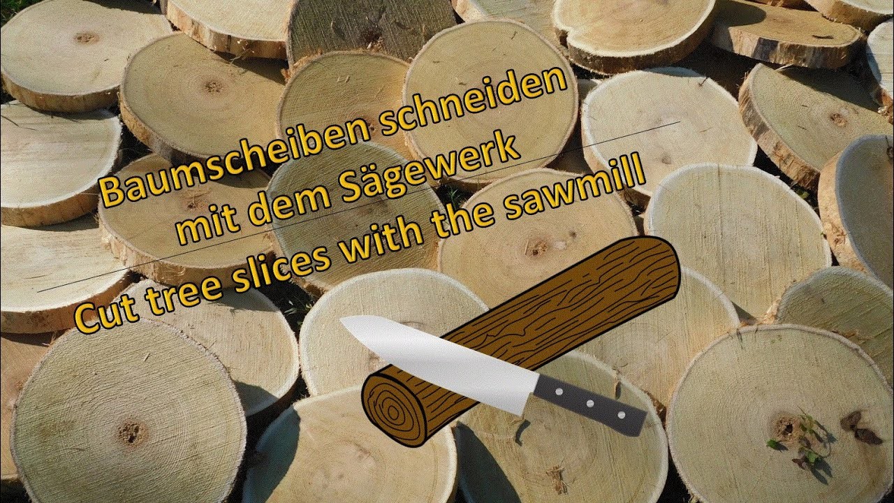Baumscheiben schneiden mit dem Sägewerk. Cut tree cookies with the sawmill