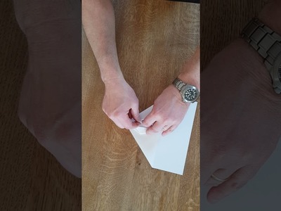 Papierflieger.Aigner