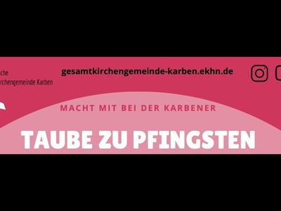 Karbener Taube zu Pfingsten