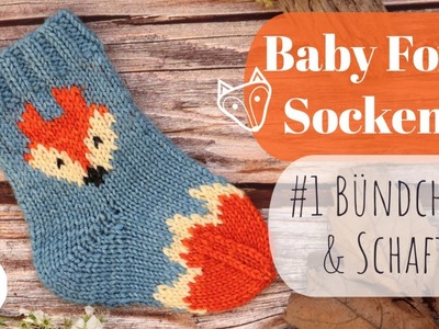 Baby Fox Socken #1 Bündchen & Schaft